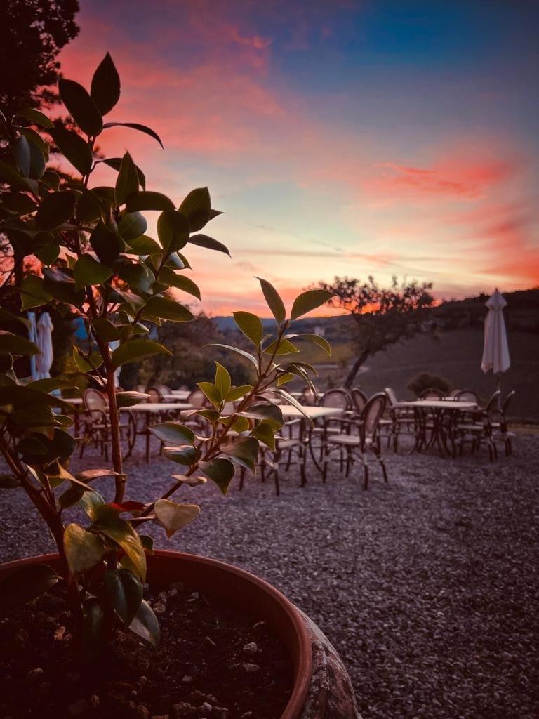 Locanda Podere Le Vigne 拉达因基安蒂 外观 照片